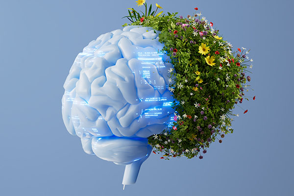 Ciencia y tecnologia 
